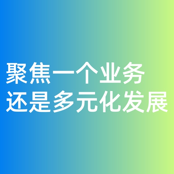 鈀碳回收, 聚焦一個業(yè)務(wù)，還是多元化發(fā)展